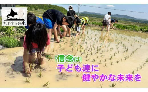 【6回定期便】ゆめぴりか （無洗米） 10kg×6回 【2025年10月下旬より発送開始】 合計60kg 北海道 鷹栖町 たかすのお米 特別栽培米 米 コメ ご飯 無洗米 お米 ゆめぴりか