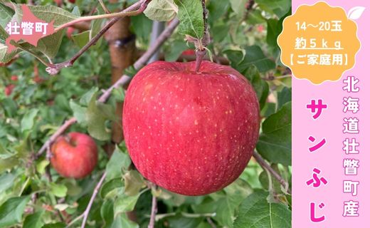 ＜11月下旬頃よりお届け＞北海道壮瞥産りんご サンふじ 約5kg(14〜20玉)【ご家庭用】 SBTK015