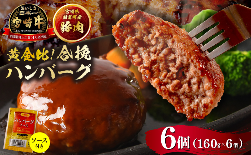 絶品合挽ハンバーグ 6個