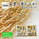 【ふるさと納税】米 若葉の舞 コシヒカリ 白米10kg玄米食用10kg 食べ比べセット こしひかり お米 白米 玄米 セット 食べ比べ 精米 千葉 千葉県 低温保存