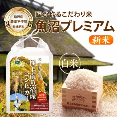 ふるさと納税 南魚沼市 【7年産】特別栽培米「南魚沼産コシヒカリ」(栽培期間中農薬・化学肥料不使用)白米10kg