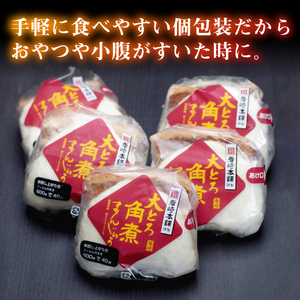 【全12回定期便】大とろ 角煮まんじゅう 10個(1箱)【 岩崎本舗 】《 対馬市 》冷凍 角煮 角煮まん 個包装 豚まん[WBC025]
