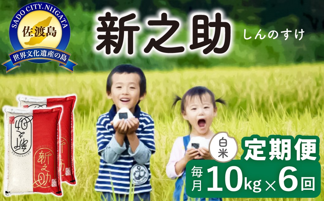 
                  【6か月定期便 新之助】佐渡島産 新之助 白米 合計60kg（10kg（5kg×2袋）×全6回）令和8年産 新米 単一原料米 | 新潟県産新之助 新潟産新之助 佐渡産新之助 しんのすけ 新之助 お米 米 白米 精米 ブランド米 おこめ コメ 10キロ 大粒 世界農業遺産 にいがた さど 新潟県 佐渡市
                