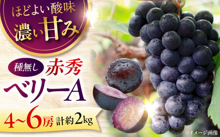 【先行予約】【9月上旬から9月下旬に順次発送】ぶどう ベリーA 2kg赤秀 ぶどう 葡萄 フルーツ 果物 くだもの ぶどう[APCK005] ぶどう ぶどう ぶどう ぶどう ぶどう