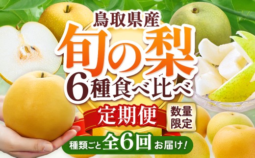 【先行予約】 梨王国 2026 旬の梨 食べ比べ 全6回定期便 合計約28kg（鳥取県産）梨 なし 和梨 先行予約 数量限定 定期便 フルーツ 果物 季節の果物 季節のフルーツ 新興梨 新甘泉 二十世紀梨 秋甘泉 王秋 あたご梨 食べ比べ 20世紀梨