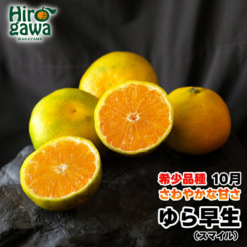 【ふるさと納税】 由良早生 みかん 訳あり 秀品 / ゆら早生 温州みかん 極早生 甘い 家庭用 和歌山 柑橘 3kg 5kg 10kg 9000円 ※10月上旬～11月上旬順次発送 ※北海道・沖縄・離島への配送不可 //goku