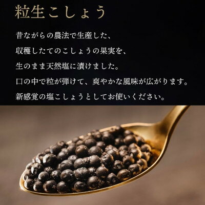 【ふるさと納税】【世界初・元祖】粒生こしょう 60g・100年はちみつ140g ギフトボックス2個入り(大)【1588864】