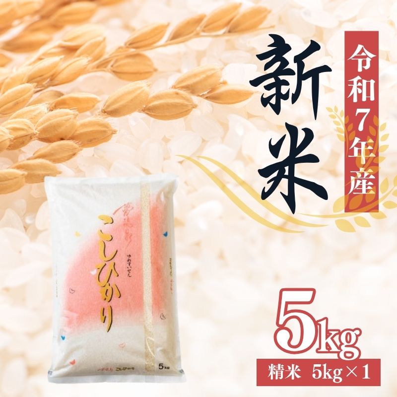 【ふるさと納税】大文字屋米穀店【令和7年産新米　先行予約】コシヒカリ精米 5kg
