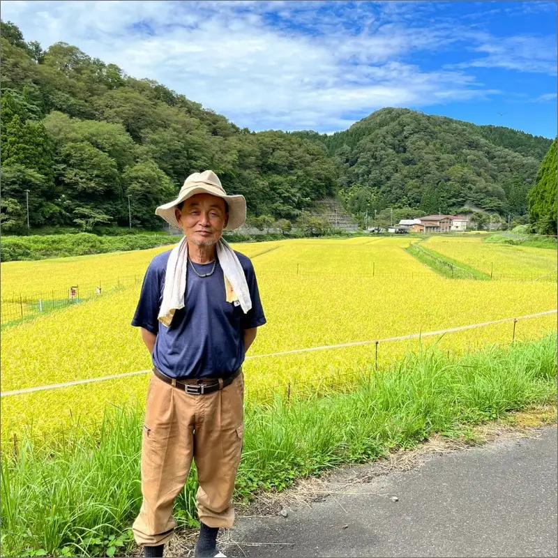 令和7年産 京丹後・野間産　田渕さんちのおいしいお米 個包装 2合×6袋入