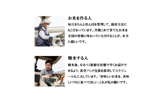 令和8年産 新米 真空パック 鳥取県産きぬむすめ 20kg 長期保存 真空 備蓄米 米 お米 こめ コメ 精米 Elevation キヌムスメ 鳥取県日南町