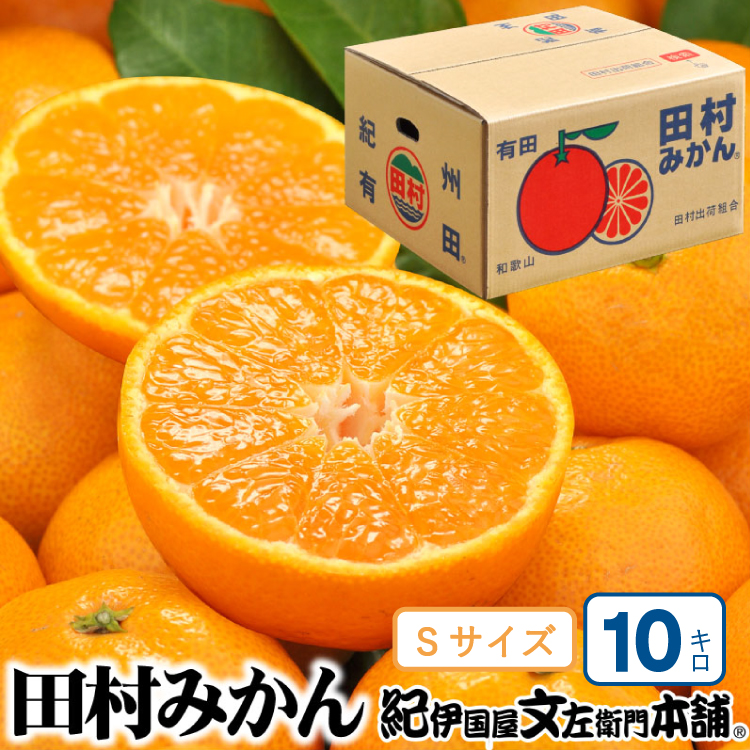 田村みかん 特選ギフト品 10kg【Sサイズ】赤秀/紀州和歌山有田郡湯浅町田村地区産 ◆2026年11月下旬～2027年1月中旬頃に順次発送予定(お届け日指定不可)　紀伊国屋文左衛門本舗【kstb304C】