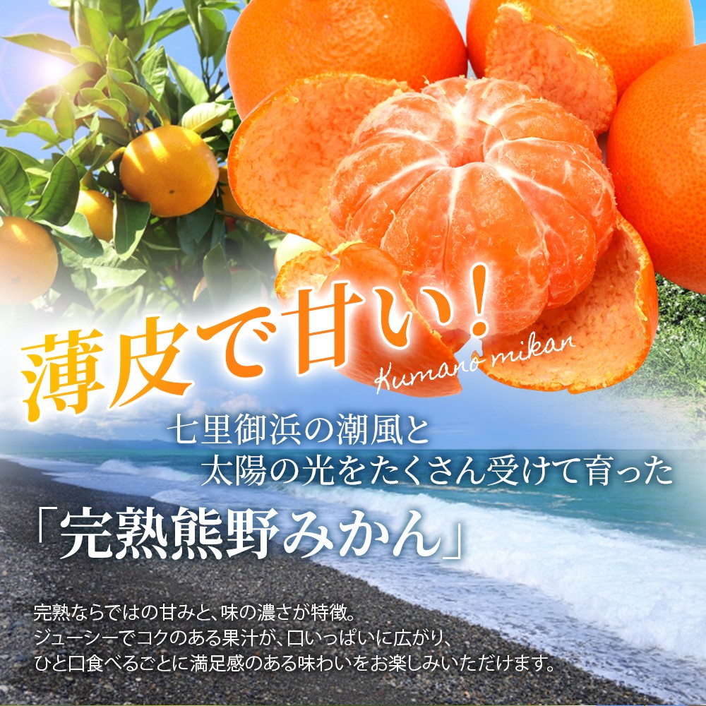 仲森農園の完熟熊野みかん 10kg 【2026年11月下旬から12月下旬に発送】 みかん ミカン 蜜柑 温州みかん 温州ミカン 柑橘 フルーツ 果物 くだもの 甘い 旬 人気 産地直送 三重県 熊野市