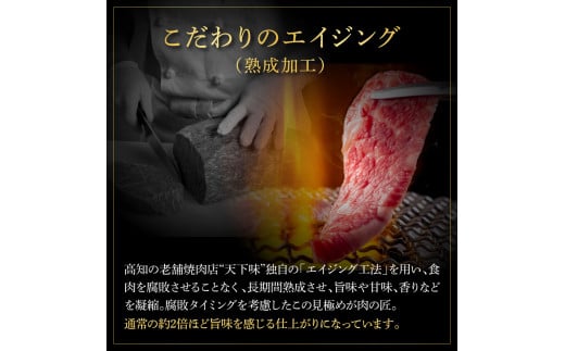 土佐和牛 特選スネ肉煮込み角切り500g×2 田野屋銀象完全天日塩2P付き 1kg 1キロ 長期熟成肉 田野屋銀象 完全天日塩付き スネ肉 煮込み 角切り 肉【株式会社LATERAL】 [BQAU04