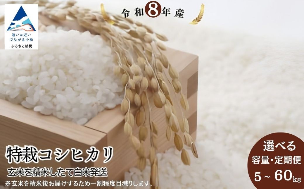 
                  令和8年産 新米 特栽コシヒカリ 選べる 【容量】 5kg / 10kg 【定期便】 5kg×3ヶ月 / 6ヶ月・10kg×3ヶ月 / 6ヶ月 （玄米を精米したて白米発送） 精米 白米 こしひかり | 石川県 小松市【のむら農産】 au002m00
                