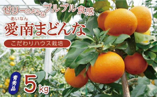 【ふるさと納税】 訳あり 愛南 まどんな 5kg 青秀品 みかん 20000円 愛果28号 紅まどんな 同品種 あいか アイカ 高級 人気 柑橘 果物 フルーツ ハウス栽培 ギフト プレゼント 数量限定 期間限定 国産 mikan 蜜柑 ミカン マドンナ 甘い 果樹園みどり 愛南町 愛媛県