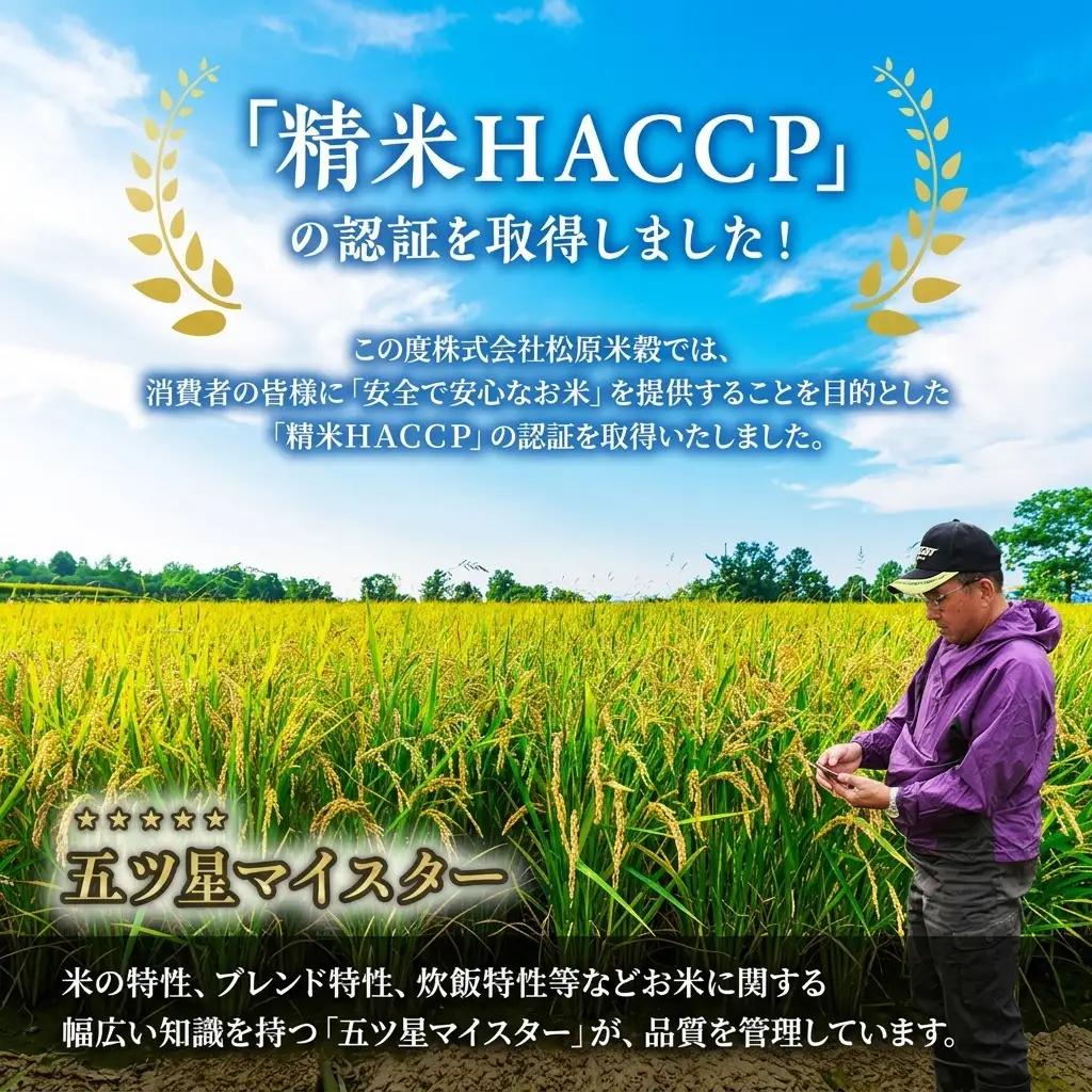 ななつぼし 玄米 北海道産 ななつぼし【10kg(5kg×2袋)】【令和8年産】【9ヵ月定期便】