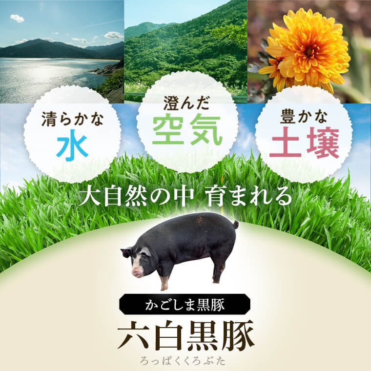 【B02080】黒豚ふるさとセット＜約2.3kg＞_イメージ4