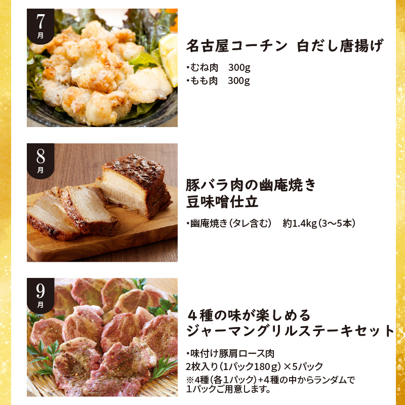 【全12回】厳選！お肉づくめの定期便　H028-081