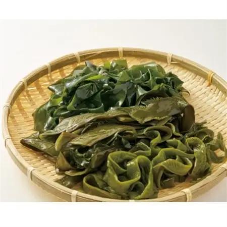 【食べ比べ】南三陸産　塩蔵わかめセット(塩蔵わかめ3袋、塩蔵茎わかめ2袋)【配送不可地域：離島】【1503673】