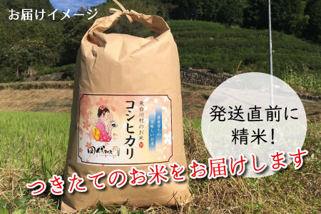 【令和7年産・先行受付】令和7年産 新米 コシヒカリ 白米 約4.25kg 岐阜県 東白川村産