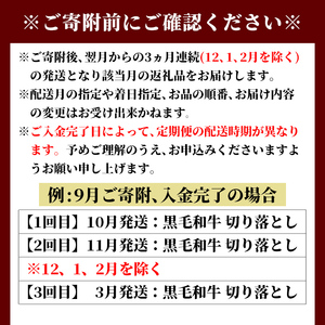 s700  ＜定期便・全3回＞鹿児島県産 北さつま高崎牛 切り落とし肉(計3kg(約500g×2P×3回) 国産 九州産 黒毛和牛 A5ランク A5等級 赤身 雌牛 切落し 切り落し 切落とし 牛肉 