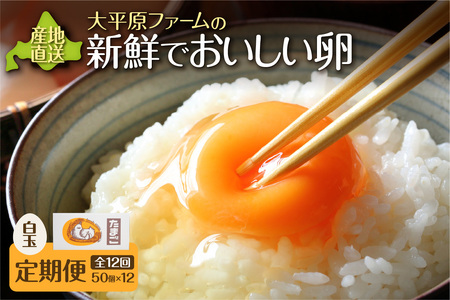 【12回定期便】大平原ファームの新鮮でおいしい卵 計50個(白卵)×12ヶ月【 北海道 清水 卵 600個 こだわり卵 卵かけご飯 玉子 タマゴ 卵焼き TKG 温泉卵 オムレツ ゆでたまご 栄養満点  国産 定期便 】_S035-0022