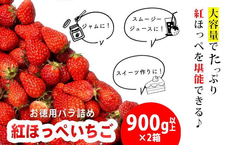 訳ありバラ詰めいちご(紅ほっぺ) 900g以上×2箱・O048-15 /オオダケイチゴ
