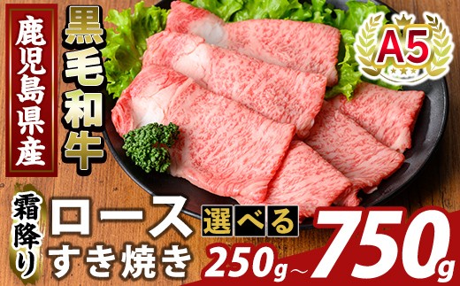 
                  K-480 ＜選べる容量＞鹿児島県産A5等級黒毛和牛霜降りロースすき焼き(計250g～750g) 【ふるさと産直バザール】霧島市 牛肉 国産 鹿児島県産 ロース スライス 肉 精肉 
                