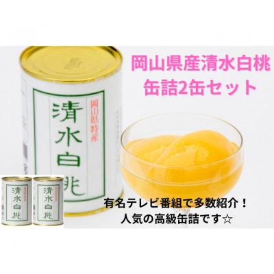 ふるさと納税 岡山市 清水白桃缶詰　2缶セット