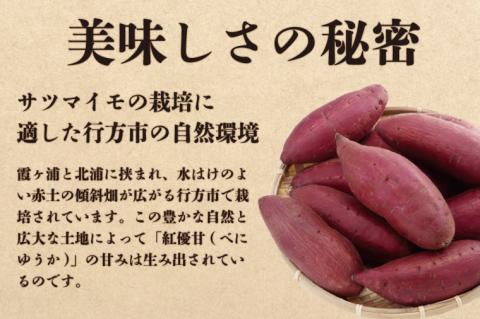 AE-36 【先行予約】【天皇杯受賞】さつま芋使用　紅優甘の平干し芋　300g（化粧箱入り）