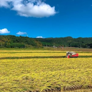 (1611)【定期便】お米 米 こめ 白米 精米 定期 ひとめぼれ 日置ノ庄 5㎏ 隔月 隔月コース お米の定期便 定期購入 長門市 長門