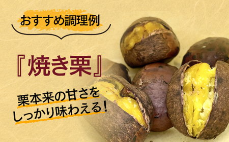 【先行予約】西都市産　新鮮朝どれ生栗　3㎏＜1.4-23＞