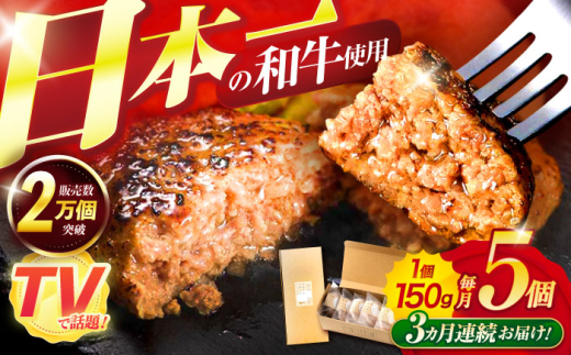 【3回定期便】ながさきふわとろハンバーグ 150g×5個入 / ハンバーグ はんばーぐ 肉 牛肉 豚肉 おかず 惣菜 定期便 / 諫早市 / ワールド・ミート有限会社 [AHBG006]