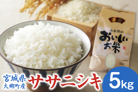 [宮城県大郷町産] 令和7年産 ササニシキ 5kg 精米 [0299]