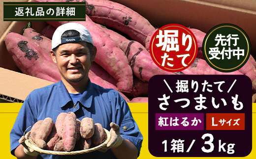【先行予約：2026年9月中旬配送～】掘りたて さつまいも 紅はるか 3kg Lサイズ (自宅で簡単レシピ付き）FR-215 | 秋の味覚 2026年秋収穫 新物 さつまいも サツマイモ 感動サツマイモ 焼き芋 べにはるか 大きめ 野菜 おやつ おかず お弁当 煮物 芋ごはん 味噌汁 産地直送 鹿児島県 南大隅町 株式会社フォレスト