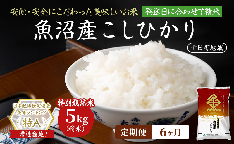 【令和8年産 先行予約】【6ヶ月定期便】特別栽培米 魚沼産こしひかり(十日町地域) 精米 5kg 米 お米 コシヒカリ 定期 十日町市
