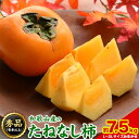【ふるさと納税】【先行予約】和歌山産のたねなし柿約7.5kg L~2Lサイズおまかせ 32～36玉【サイズお任せ/秀品】青秀以上《10月上旬頃から11月末より出荷予定》 和歌山県 紀の川市 紀の川市厳選館 柿 カキ かき ジューシー フルーツ 秋の味覚 刃根早生 平核無柿