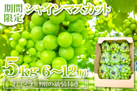 D-524 【先行予約】甘くて美味しい シャインマスカット 5kg（6～12房）【ぶどう 先行予約 ぶどうシャインマスカット シャインマスカット しゃいんますかっと 葡萄 ブドウ マスカット 5.0kg 6房～12房 種なし たねなし 皮ごと 大粒 紙袋付き おすそわけ 期間限定 季節限定 8月中旬～9月下旬発送】