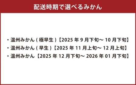 【先行受付】 特別栽培みかん（極早生） 10kg サイズミックス 極早生みかん 温州みかん みかん ミカン 蜜柑 フルーツ 柑橘 果物 果実 熊本県 上天草市【2025年9月下旬から10月下旬発送開始