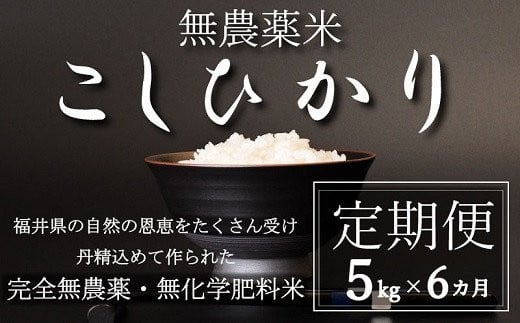 〈令和7年産〉【定期便6回】無農薬米5㎏×6回（こしひかり）玄米