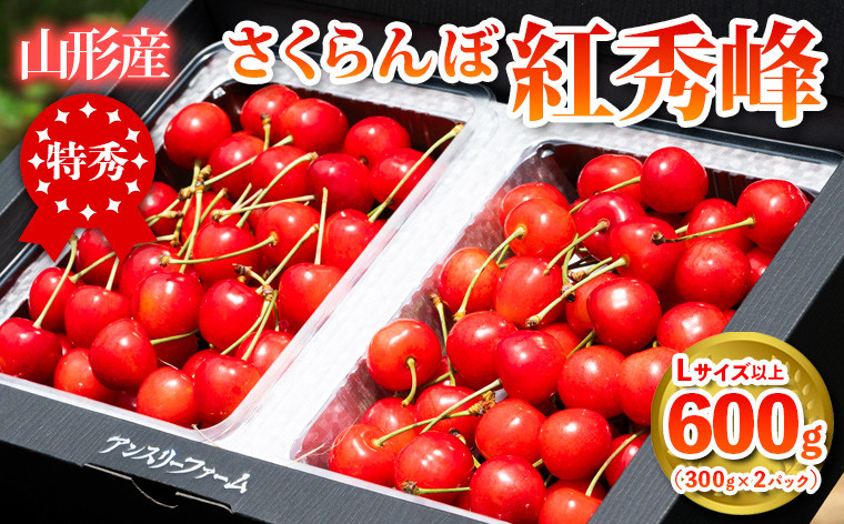 
            2026年産 さくらんぼ 「紅秀峰」 600g 特秀品 Lサイズ以上 山形産 【令和8年産先行予約】FS24-745
          