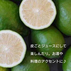 訳あり レモン (グリーンレモン) 5kg 種なし ノーワックス りのか ワックス不使用 みかん職人武田屋 グリーンレモン