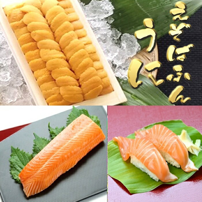 【ふるさと納税】エゾバフンウニ約140g×1折・お刺身サーモン300g～500g(1～3本)[11月下旬以降発送] D-71068