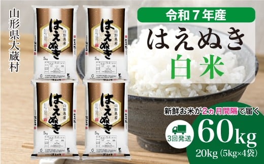＜令和7年産米＞ はえぬき 【白米】 定期便 60kg （20kg×２ヶ月間隔で3回お届け）＜配送時期選べます＞