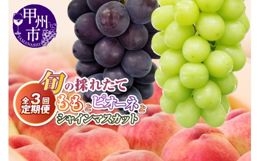 【定期便】旬の採れたて3回定期便（桃・ピオーネ・シャインマスカット）【2027年発送】（HO）C9-415