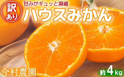 
            【訳あり・優品】今村農園のハウスみかん 約4kg みかん 柑橘 4kg わけあり 先行予約 7月 8月 フルーツ ＜107-003_7＞
          