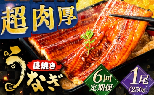 【全6回定期便】　国産うなぎの長焼き 鰻 たれ 肉厚 岐阜市 / 本格炭焼うな吉 [ANHH003]