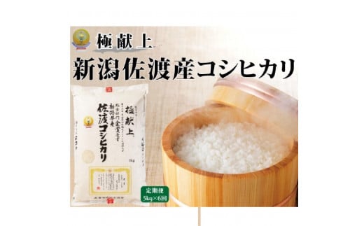 ５kg【毎月定期便 6ヵ月】《食味鑑定士厳選》新潟県佐渡産コシヒカリ