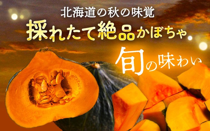 ジャガイモ じゃがいも 食べ比べ かぼちゃ 野菜 芋 イモ いも 北海道産