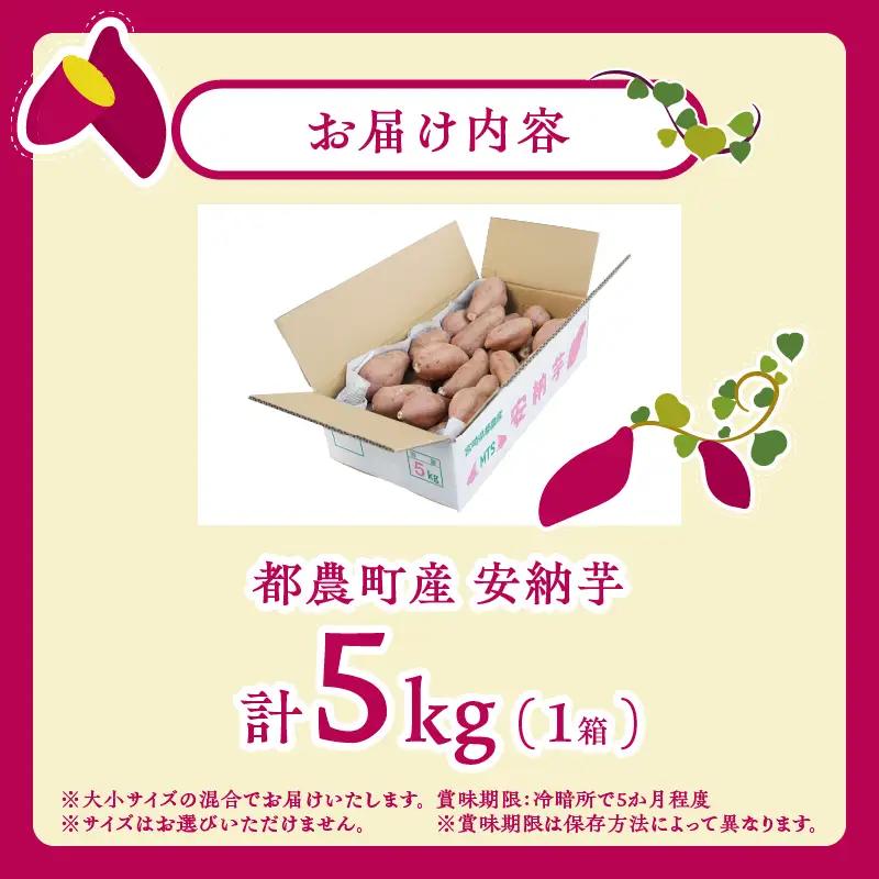 ≪先行予約≫都農町産安納芋(計5kg) 野菜 芋 イモ 国産_T016-0017